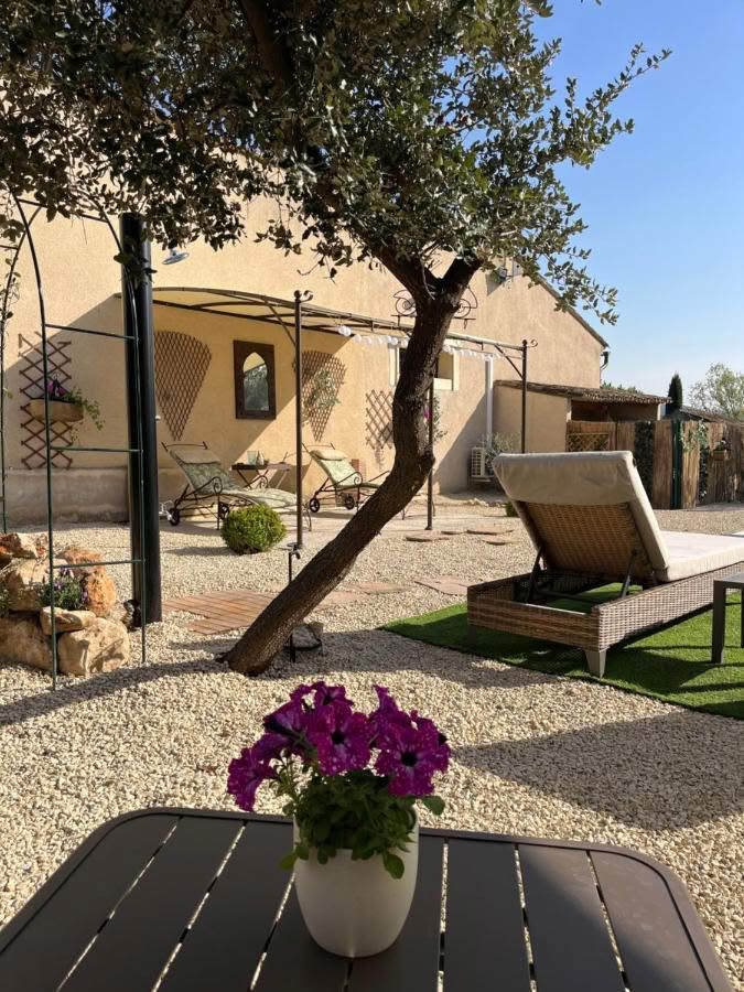 Arrière-cour fleurie de l’Amanderaie, location saisonière à deux pas de Lourmarin